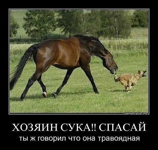 Андрей Орлов | Архангельск