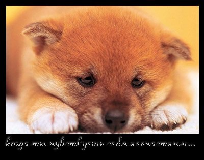 Павел Яковлевич | Москва