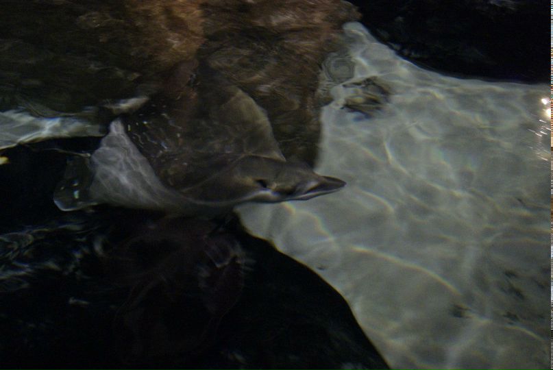 Ольга Борисова | Балаково