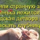 Эмиль Алиев | Баку