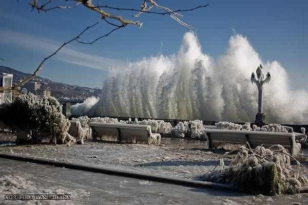 Елисей Бороздин | Ялта