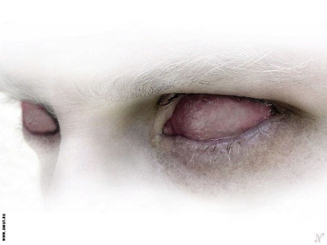 Алексей Есаков | Красноярск