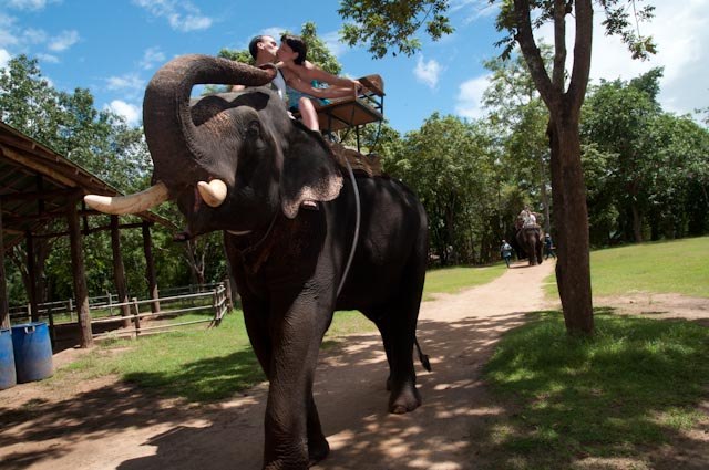 Сергей Степанюк | Красноярск