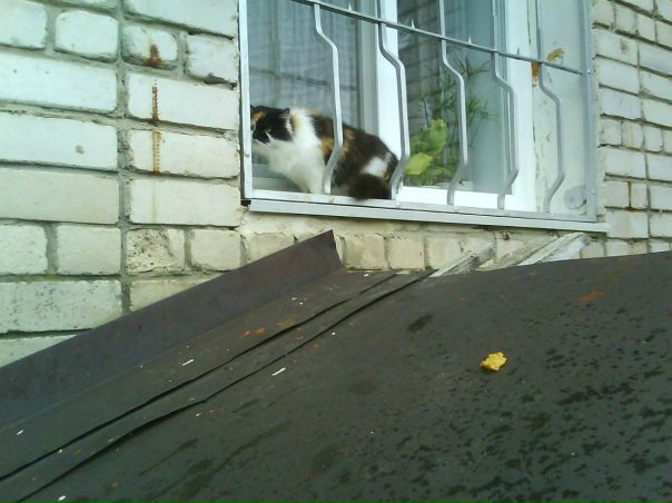 №83, Нина Путилина, Елец №83, Нина Путилина, Елец