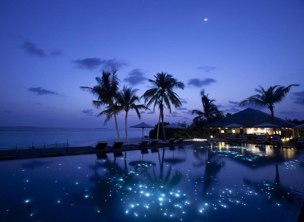 Катюша Микульця ***** | Ужгород