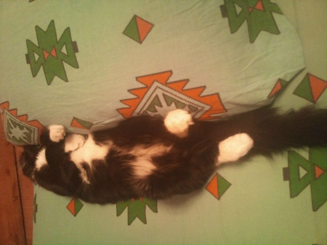 Евгения Кирюшина | Москва