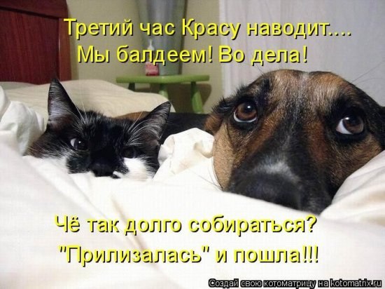 Елена Алексеева | Славянск