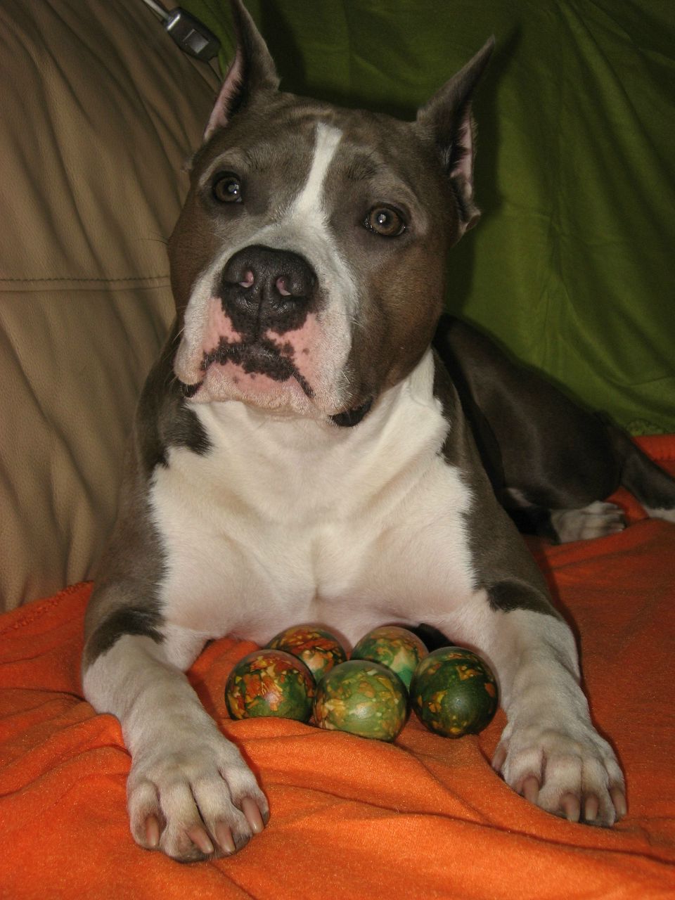 Светлана Филатова | Москва