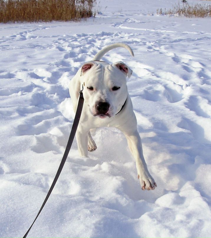 Татьяна Николаева | Санкт-Петербург