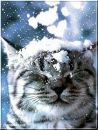 №16 Юля Мика : профиль, фото, статус - ВКонтакте №16 Юля Мика : профиль, фото, статус - ВКонтакте