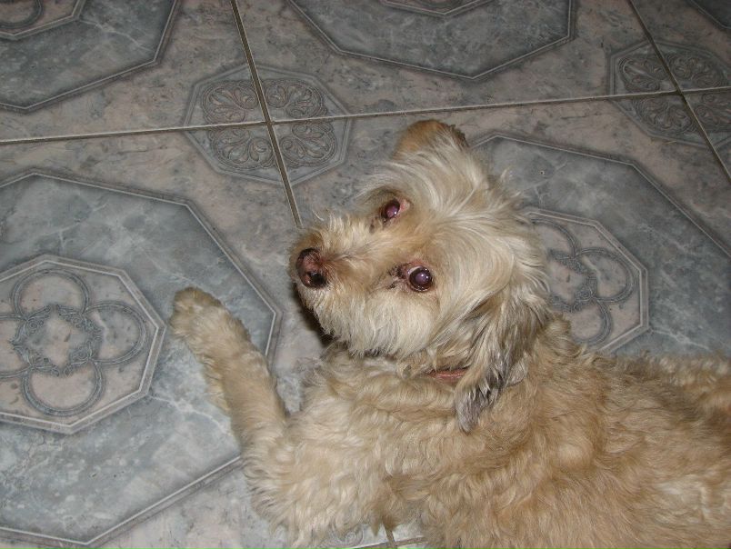 №3, Tanya Malinina, 26.01.1984, Ariel №3, Tanya Malinina, 26.01.1984, Ariel