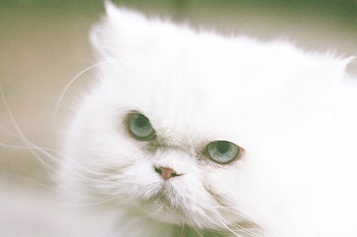 Анастасия Чусовитина | Тобольск