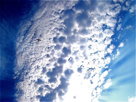 Алексей Харитонов | 