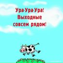 №33 Екатерина Кулакова 16.08.1988: профиль, фото, статус - ВКонтакте