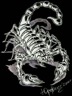 №4, Паша Кубейн №4, Паша Кубейн