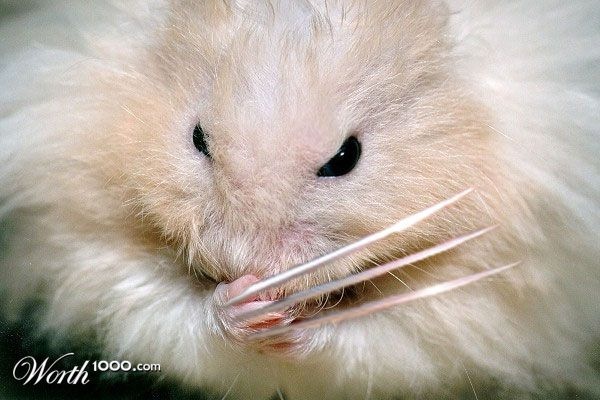 №119, Владимир Черепанов, 39 лет, Владивосток №119, Владимир Черепанов, 39 лет, Владивосток