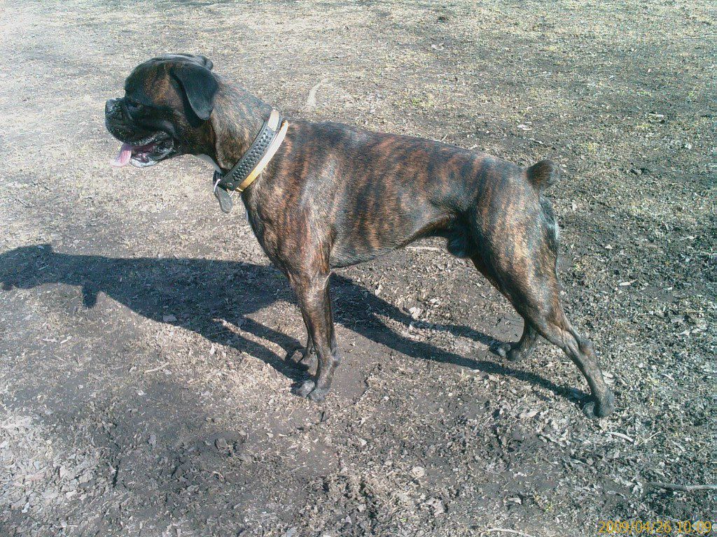 Юрий Кравченко | Москва