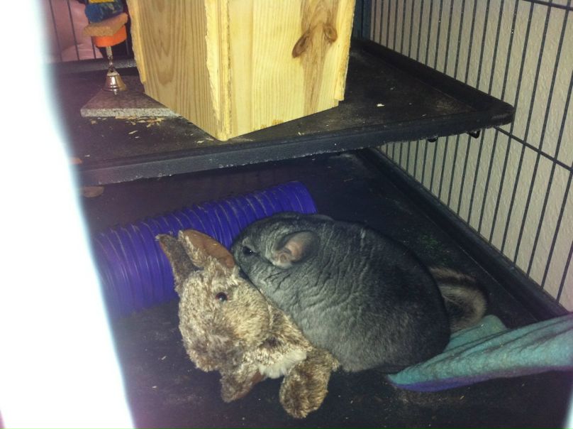 №68, Alisa Romadanova, Baton Rouge №68, Alisa Romadanova, Baton Rouge