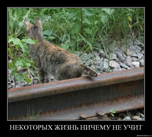 №60, Вера Бикина, 18.10 №60, Вера Бикина, 18.10