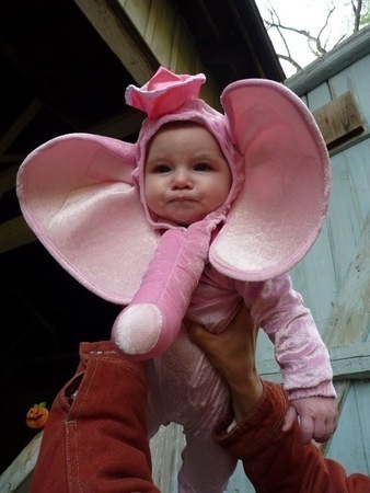 №136, Дмитрий Донской, Харьков №136, Дмитрий Донской, Харьков