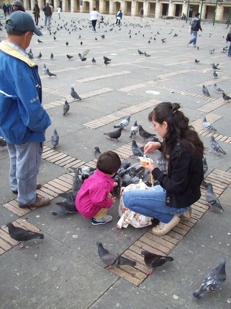 Артем Шульгин | 