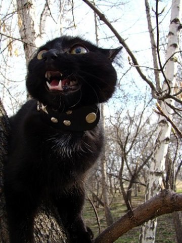 Andrei Dorofeev | Санкт-Петербург