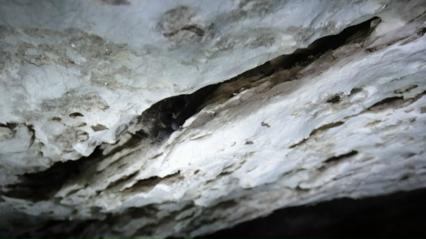 Александр Волохов | Северодвинск