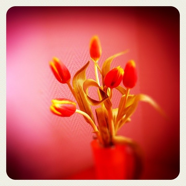 Татьяна Рындина ryndina | Москва