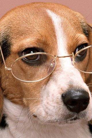 Лариса Устинова | Самара