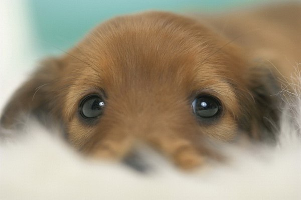 Юлия Подковырина | Харьков