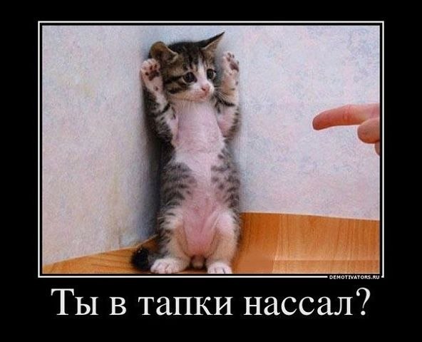 Евгений Романов | Москва