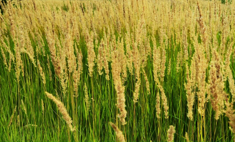 №107, Ирина Дмитриева, 52 года, Москва №107, Ирина Дмитриева, 52 года, Москва