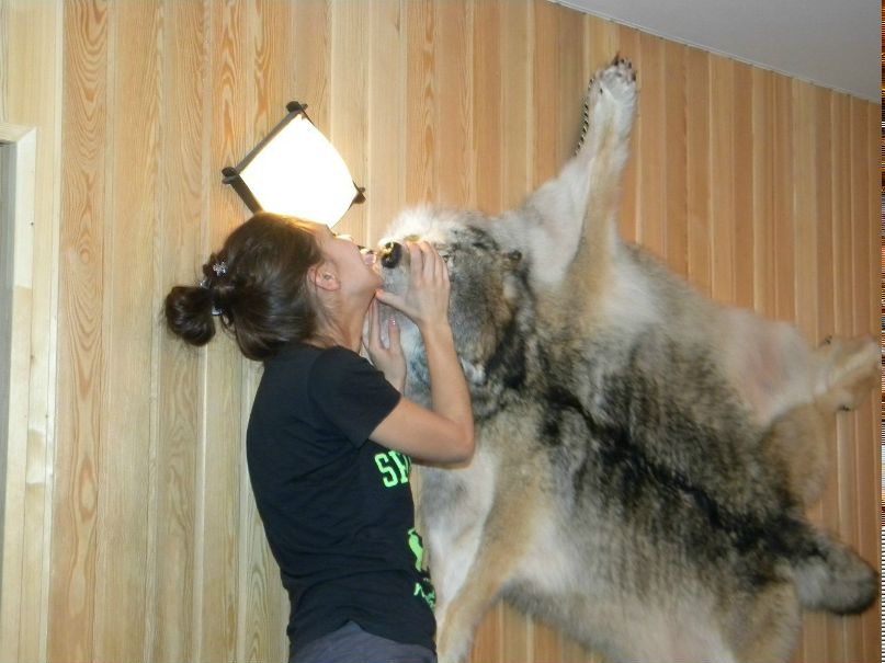 Юлия Завьялова | Ярославль