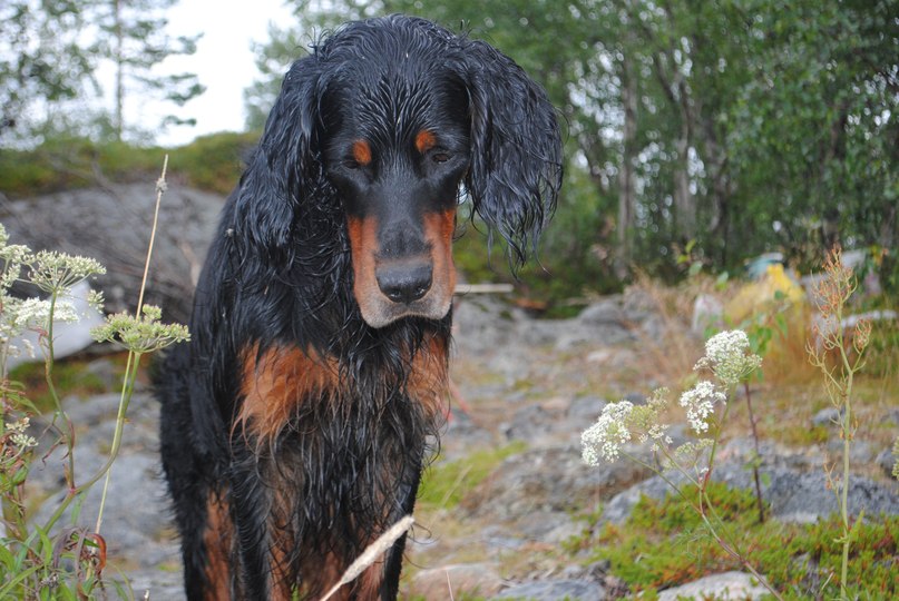 Софья Ярова | Нижний Новгород