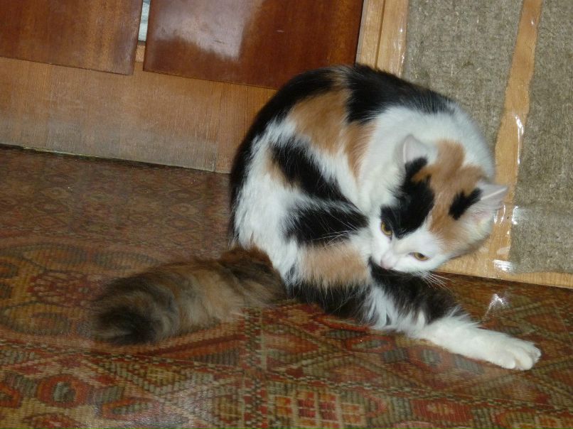 Славяна Дернова | Железногорск