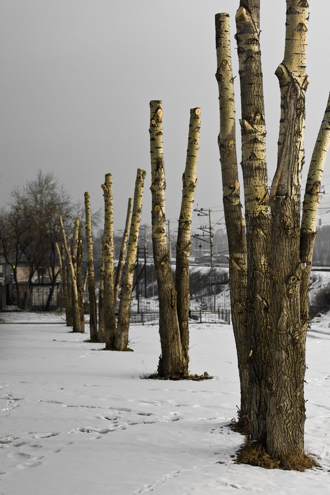 Константин Цегельный | Екатеринбург