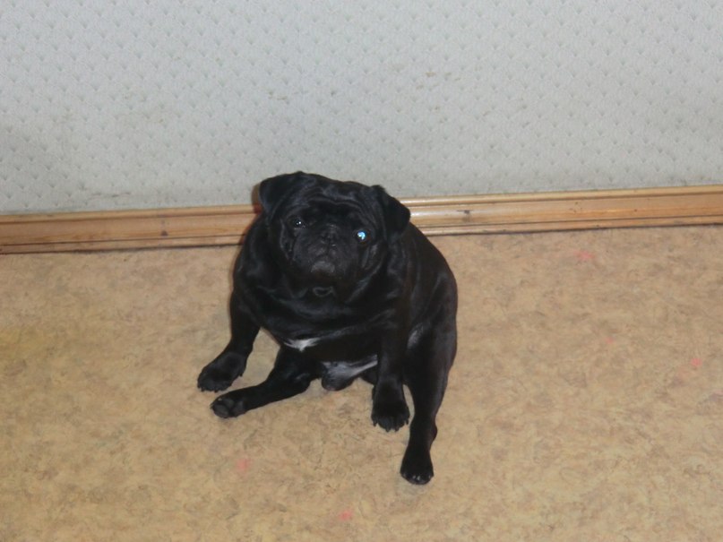 Павел Солод | Санкт-Петербург