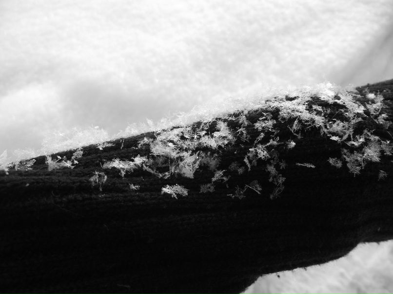 Лілія Назаркевич Gomez | 