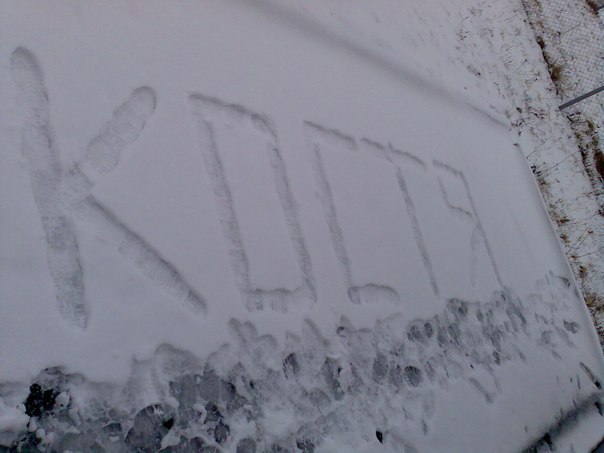 Костя Тарасенко николайович | Владимир-Волынский