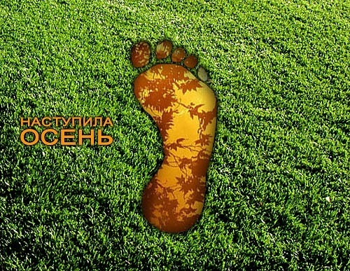 №37, Татьяна Герасименко, 38 лет, Рыбинск, Россия №37, Татьяна Герасименко, 38 лет, Рыбинск, Россия