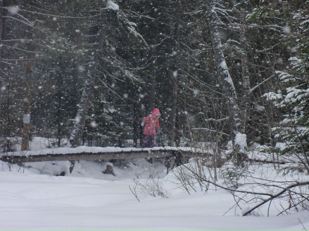 Алексей Настоящий | 