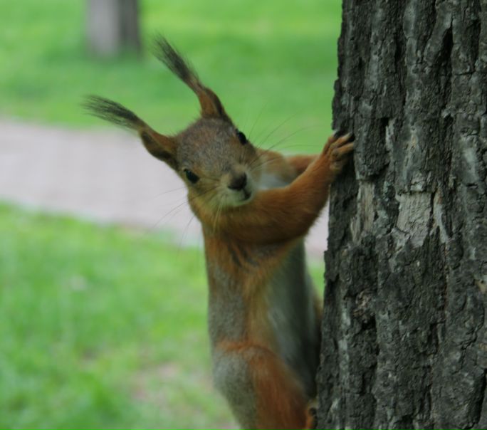 №20, Виктория Бунчук №20, Виктория Бунчук