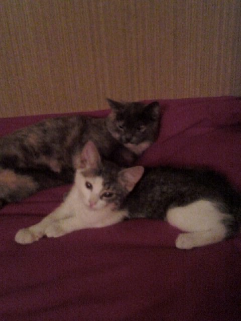 Полина Козлова | Санкт-Петербург