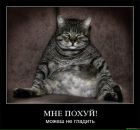 Фотография Андрей А