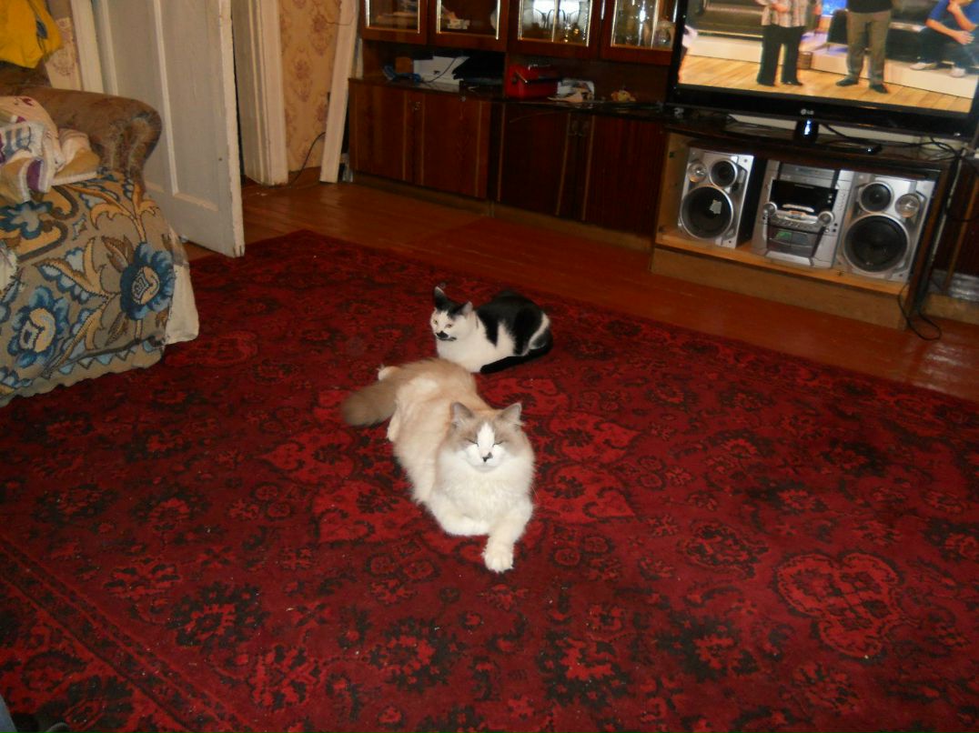 Алла Любовина | Петрозаводск