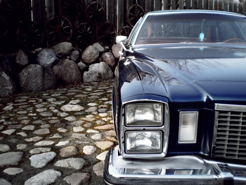 Катя Ванкович | Вильнюс