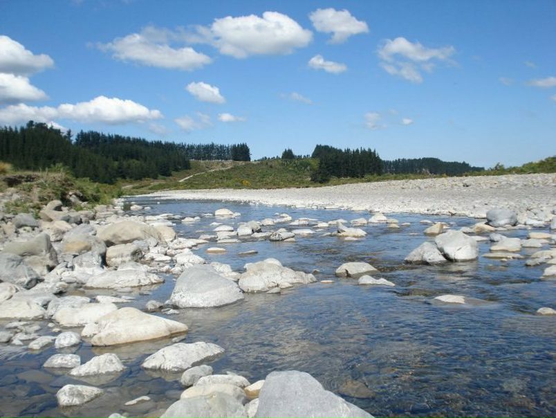 №82, Коля Колядюк, Кортелесы №82, Коля Колядюк, Кортелесы