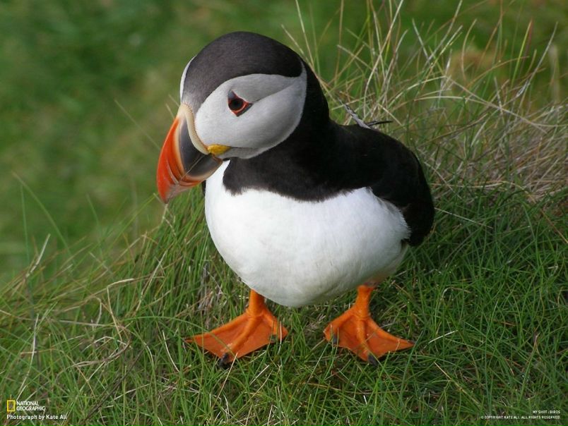 №76, Юля Миронец №76, Юля Миронец