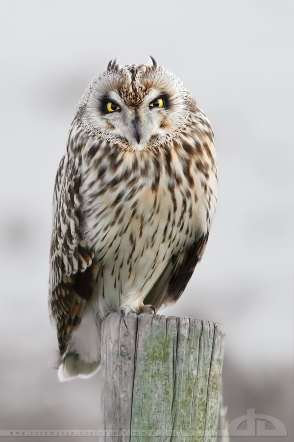 Мария Юрченкова | Москва