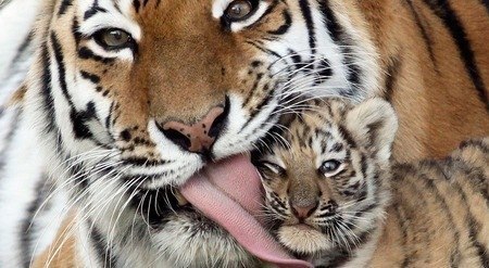 Лейсан Сафина | Азнакаево